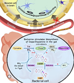 78ea0ac7f8dd43639d684a89a93112e1.png image.png