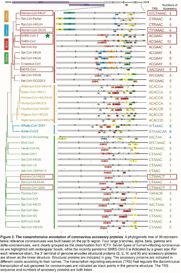 0827b9fcbf2647c99aaf8160760709e0.png image.png