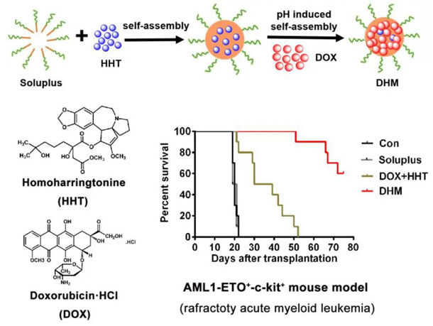 323a5c8f6f2b4540ad9b94fa6627f0d2.png image.png