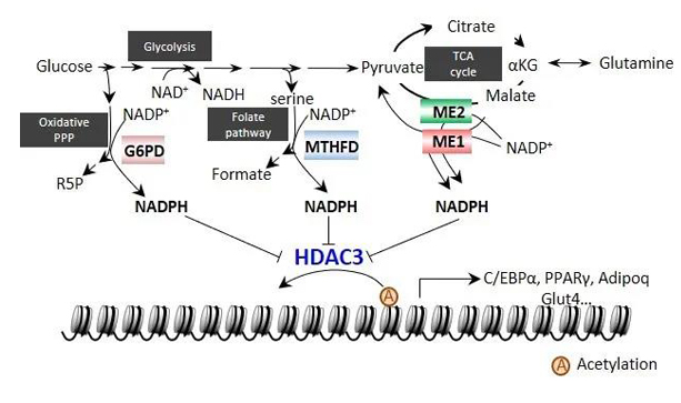 5eeee3697ff9408daa220fff2c4da818.png image.png