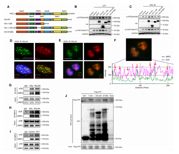 92d70c67e2f140ecaff5fa52396650d7.png image.png