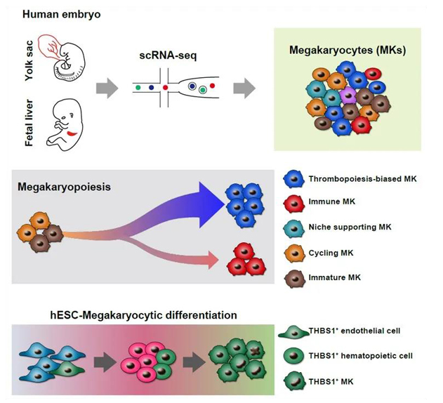 d984f07ffe004feab1c719d3a707f0fd.png image.png