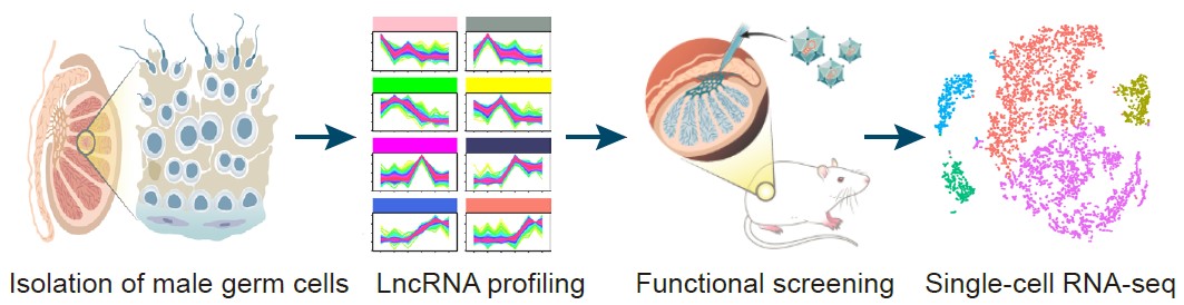 1c6adb9c98e94a2d9e5717709b2f7263.jpg 93期.jpg