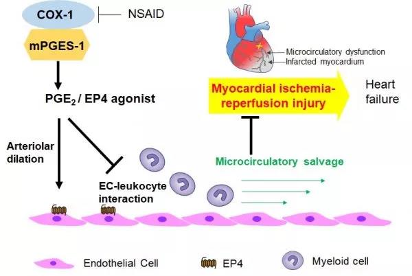 86f66955ee9047f2a8e07a486c7ec083.jpg 49期.jpg