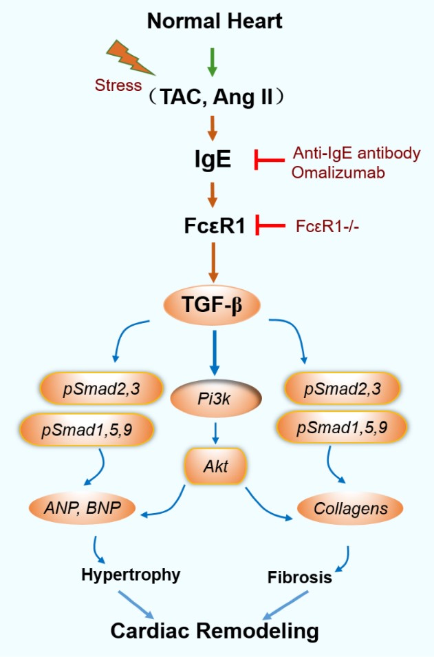 9c6b6dfff6da4e80aa73a9f022f6127b.jpg 104期.jpg