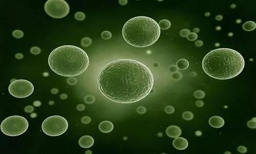 af4c641f9e7c4001b44a12842b150e6f.jpg 54期.jpg