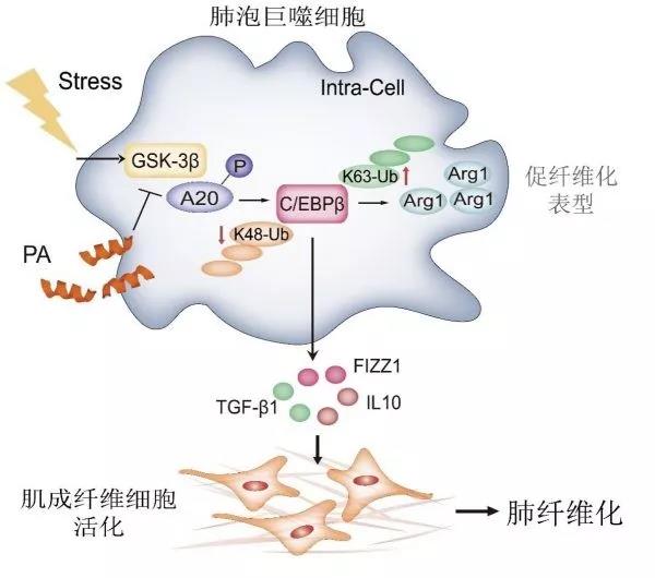 c8b3b540f5604ad9bb2a7c16800f84b2.jpg 57期.jpg