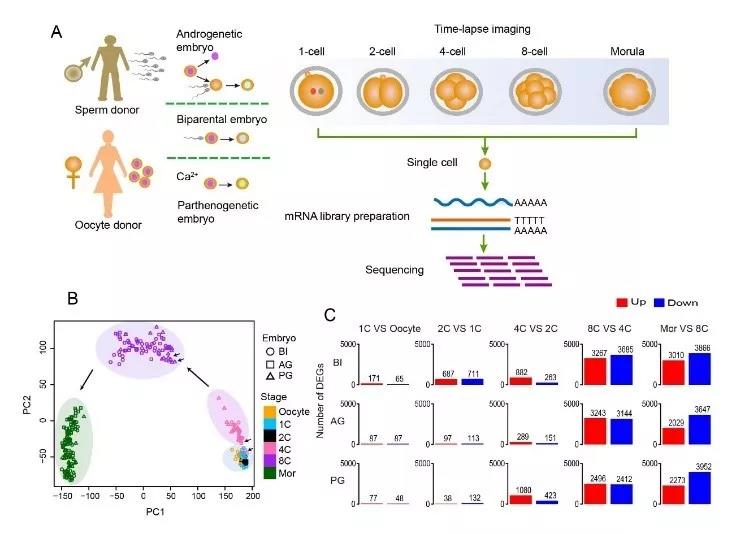 fbf15d1db124492f91174480a522c6c8.jpg 61期.jpg