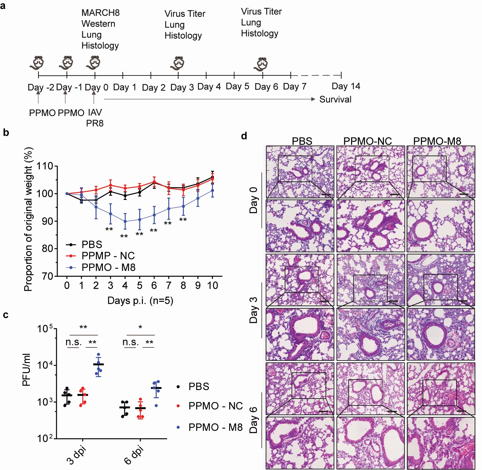 微信图片_20210809120407.jpg 微信图片_20210809120407.jpg