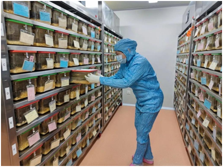 6cf3c24b806f47908a9986433e32a0d9.png 6cf3c24b806f47908a9986433e32a0d9.png