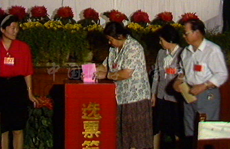 代表投票_副本.png 代表投票_副本.png