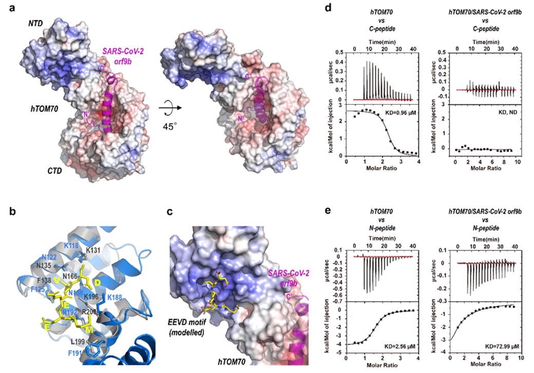 2b88ca30eb1a4063bfe321206b844da7.jpg 99.jpg