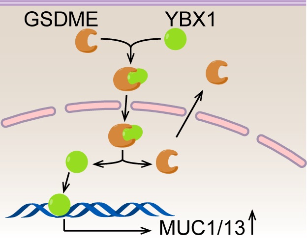 3abee9079ab349bc9528ea2298d3e89c.jpg 12121212.jpg