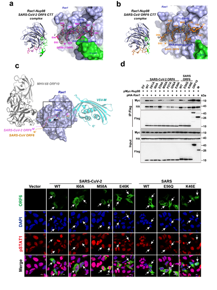 47e14a9e9dac445993f9d6f26da2cddc.png image.png