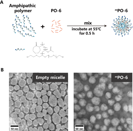 50f64a09daff48a0b958b3e7b37b9021.png image.png