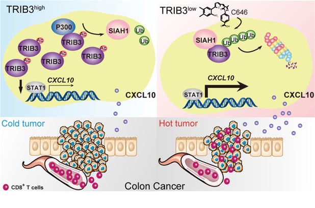 5513c09c6e3e403a9bb2e791abd33ea0.jpg 12121212.jpg