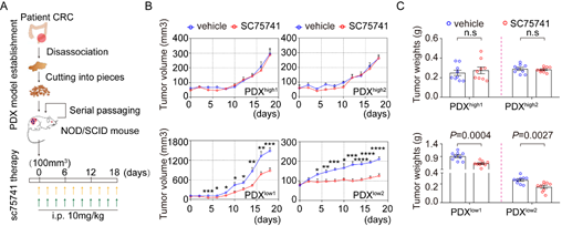 938786afd9ba453fa0948dee2a0028c6.png image.png