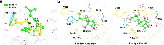 a7f6419585be41ba9a8cbb81d213ac2c.png image.png