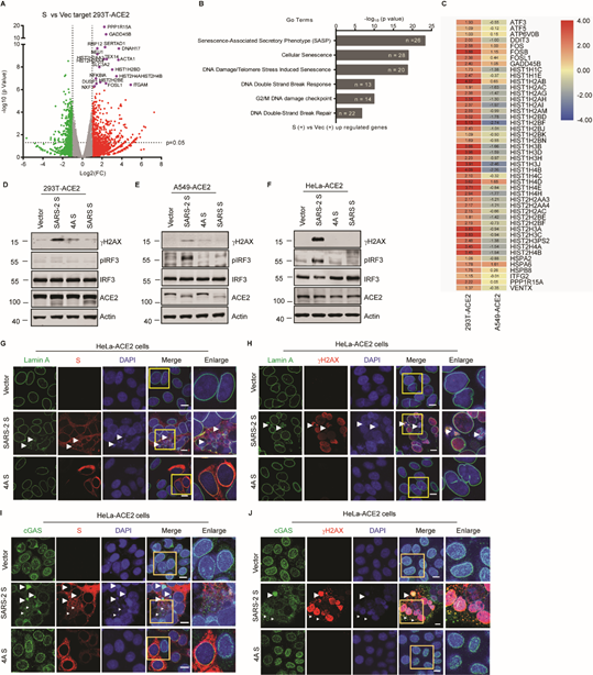 f5c9d8b9e37e4b4c87cf5ddeba4f7569.png image.png