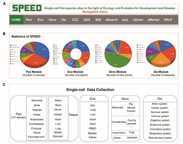 f651242c56e1493fbbad6e751ac56959.png image.png