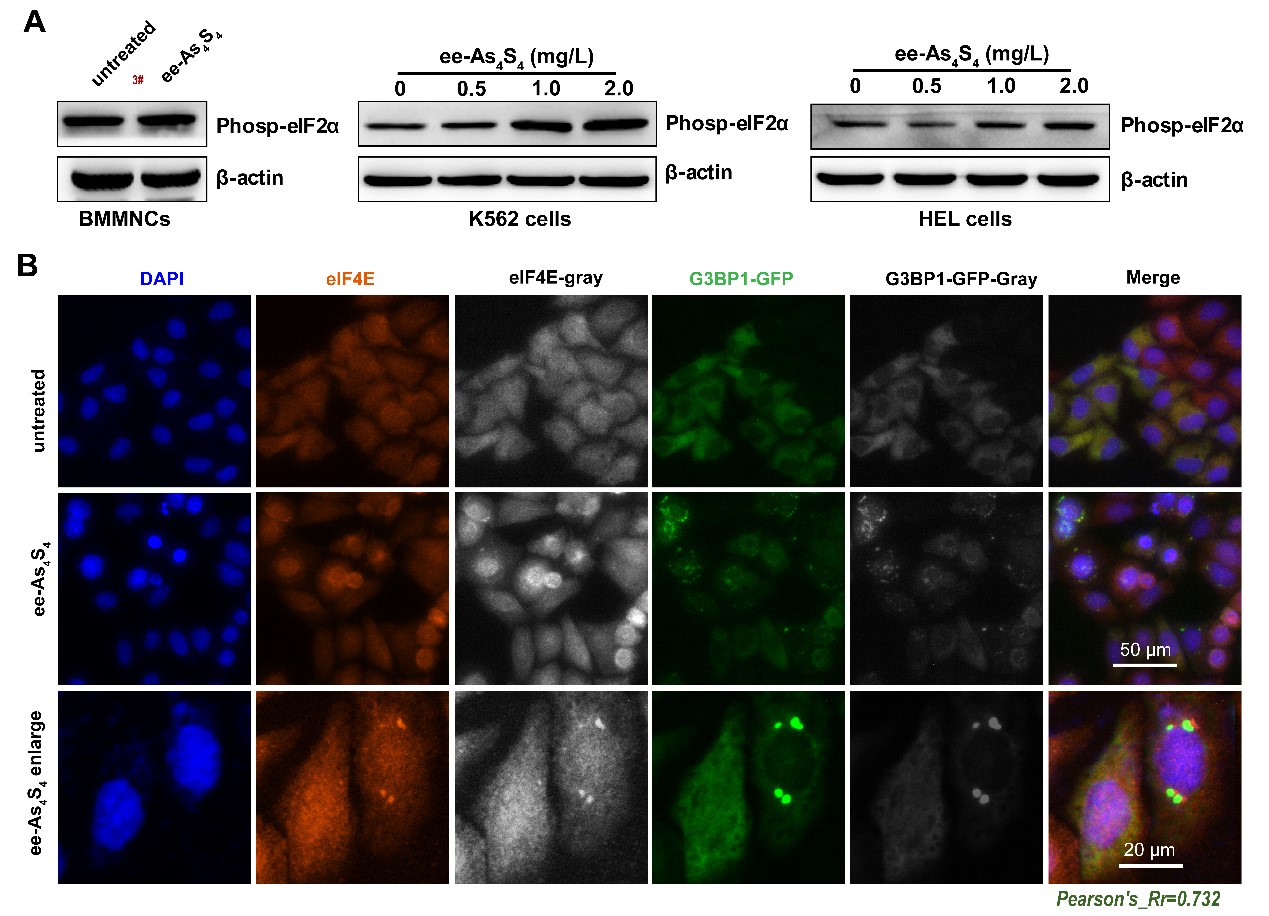 8d76ed5238314b20b5c5a32569ee2d73.jpg 图2.jpg