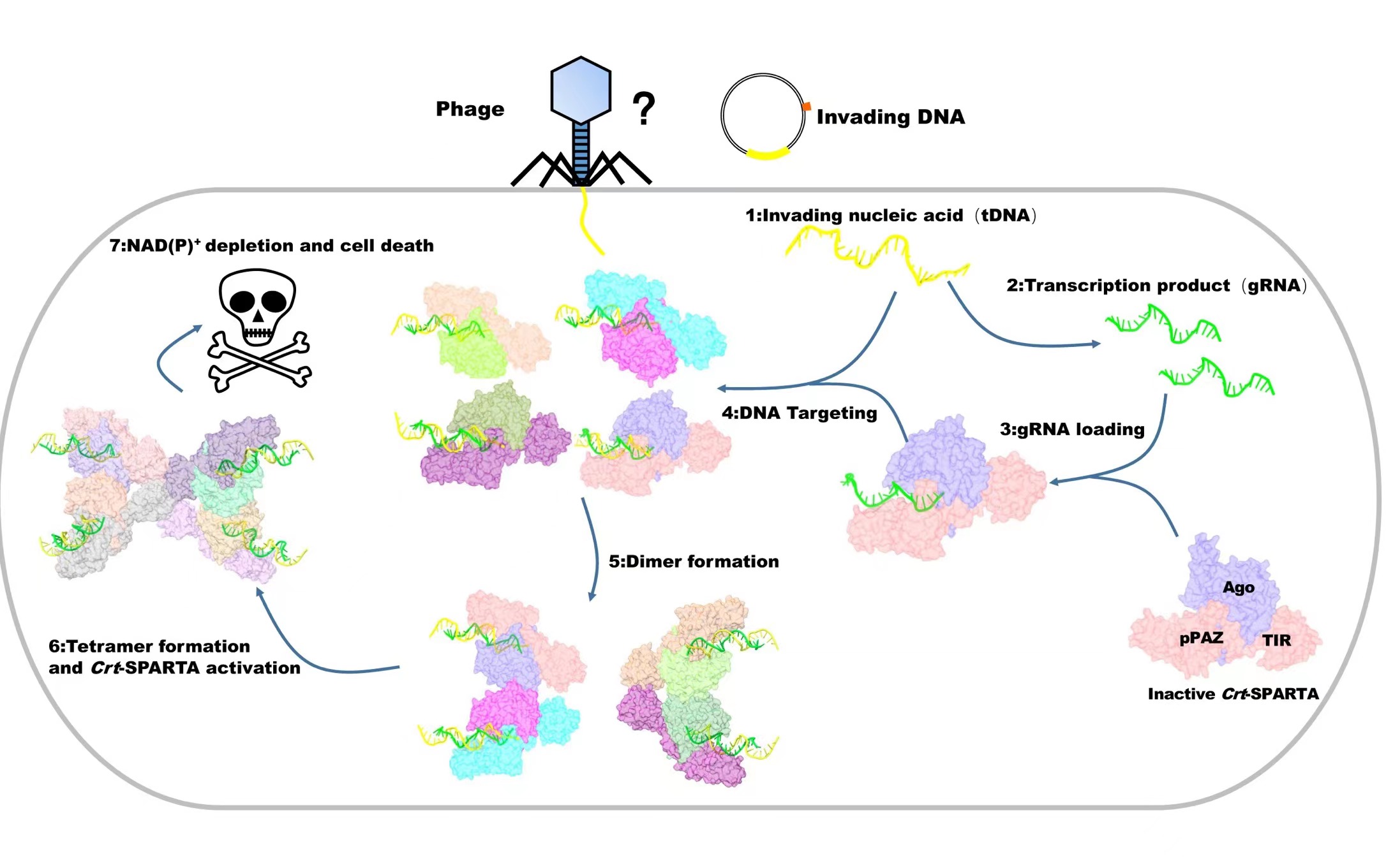 8969eead37c744ccbfe4ec0749a747fd.jpg 图2.jpg