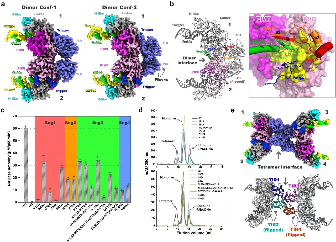 97b3a998523e46c9ab37e7e77fbc1f6a.jpg 图1.jpg