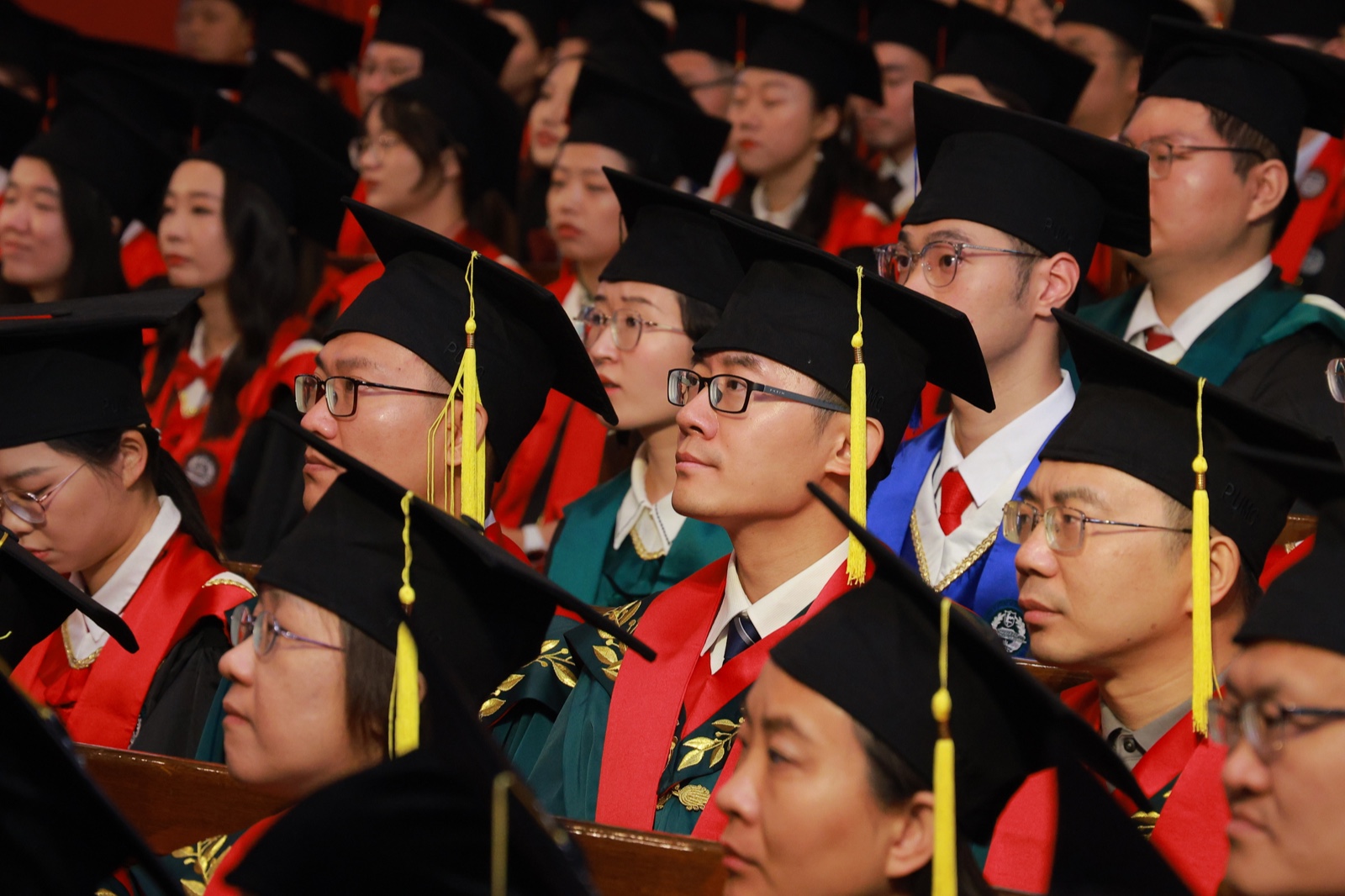 WechatIMG2675.jpeg WechatIMG2675.jpeg