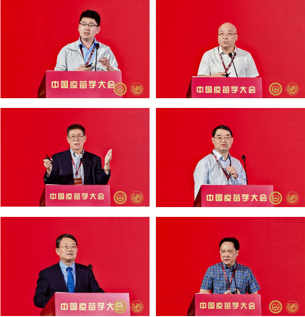 3c9fac6cc09d4b9d92fec9bcd24557fd.png 3c9fac6cc09d4b9d92fec9bcd24557fd.png