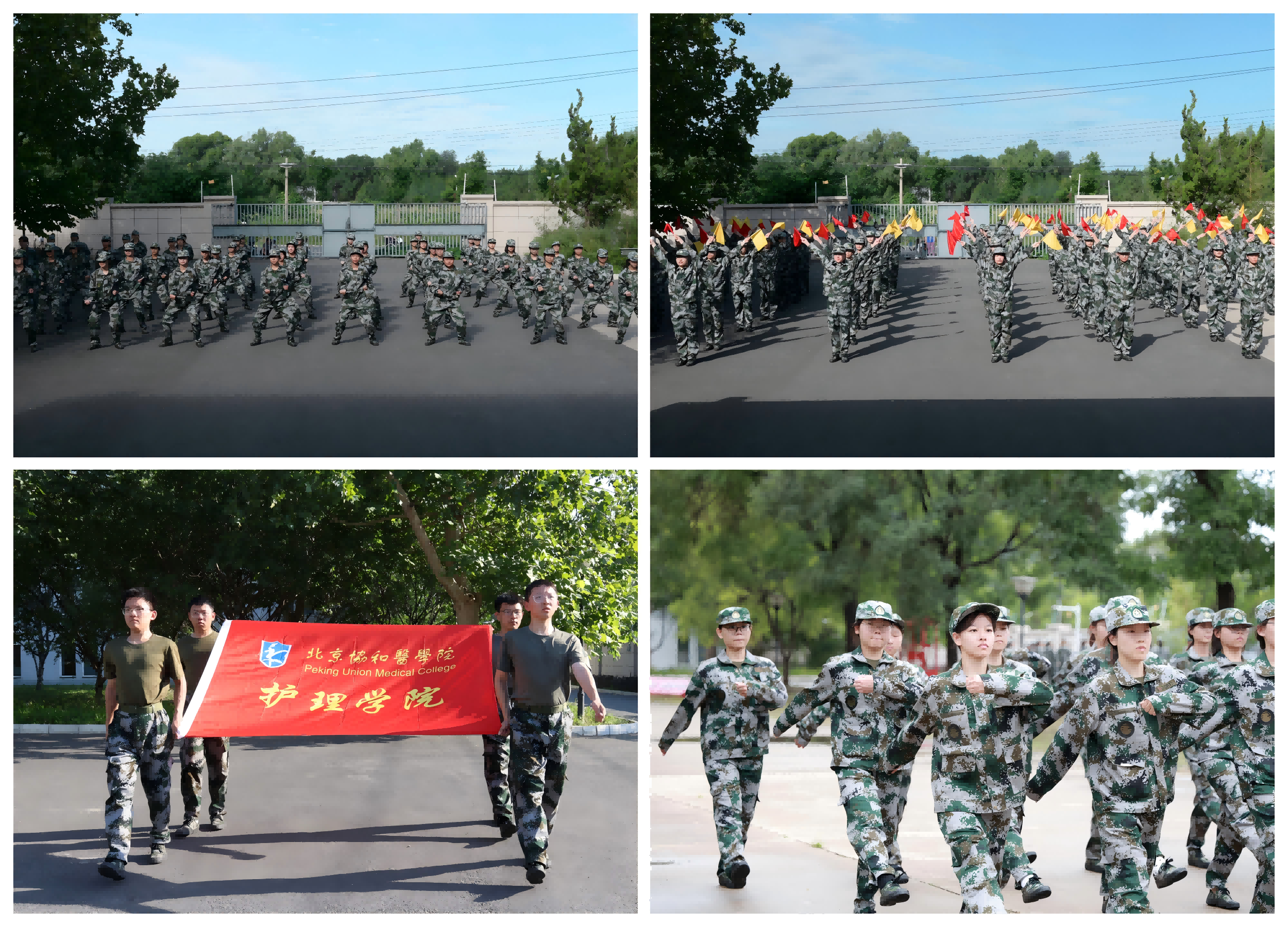 693f253f549543a3819729467f2d6fa6.png 693f253f549543a3819729467f2d6fa6.png