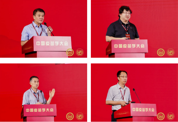 ccd174fda5324a6f8f9baa6cfd17e00e.png ccd174fda5324a6f8f9baa6cfd17e00e.png