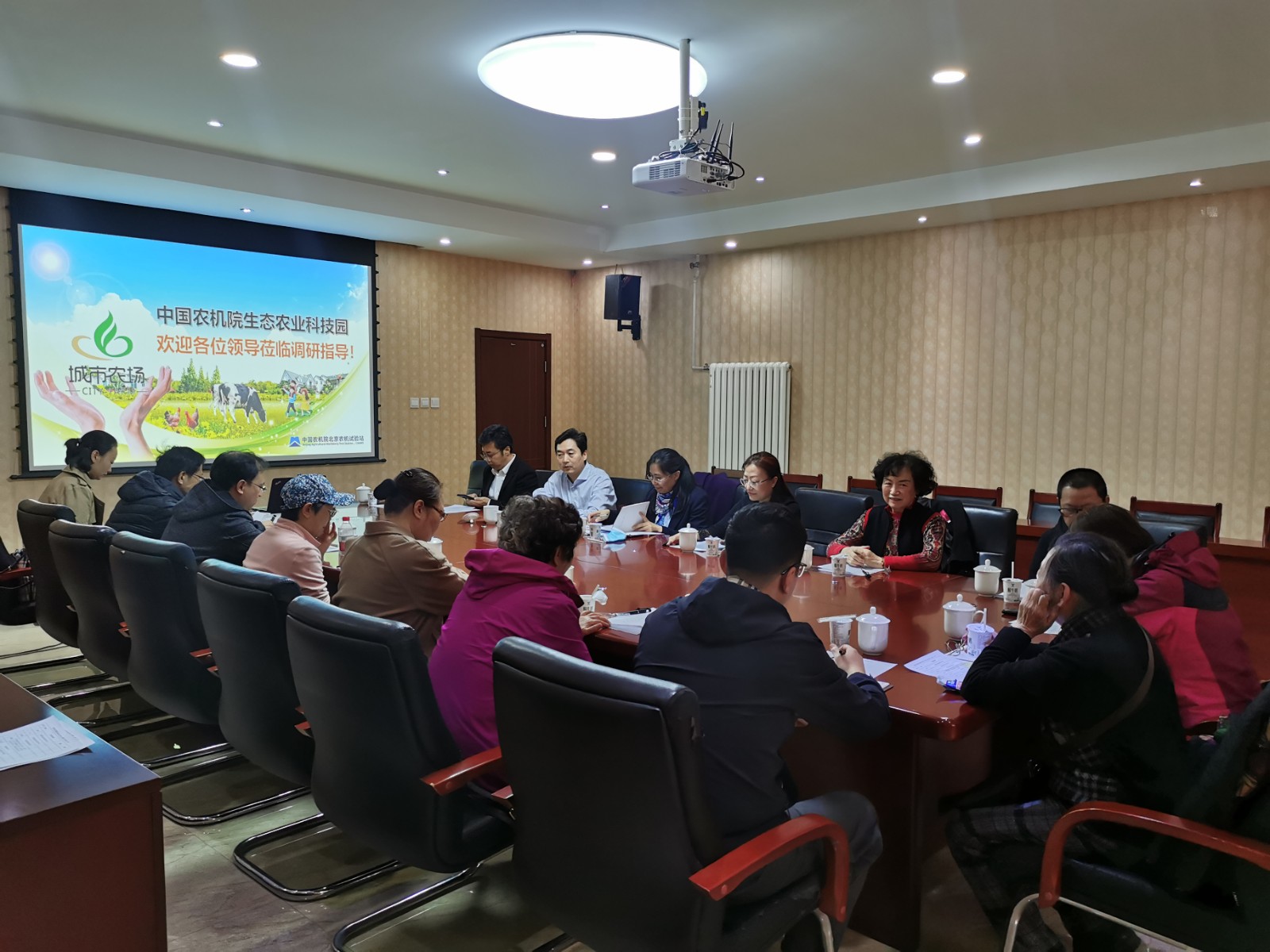 挑选1.jpg 挑选1.jpg