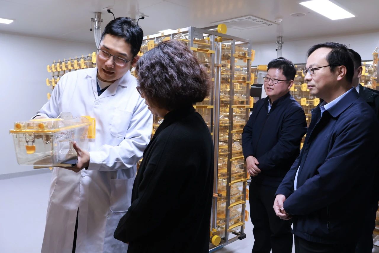 1b2e307370c541898ce0aacbbd00305a.jpg 1b2e307370c541898ce0aacbbd00305a.jpg